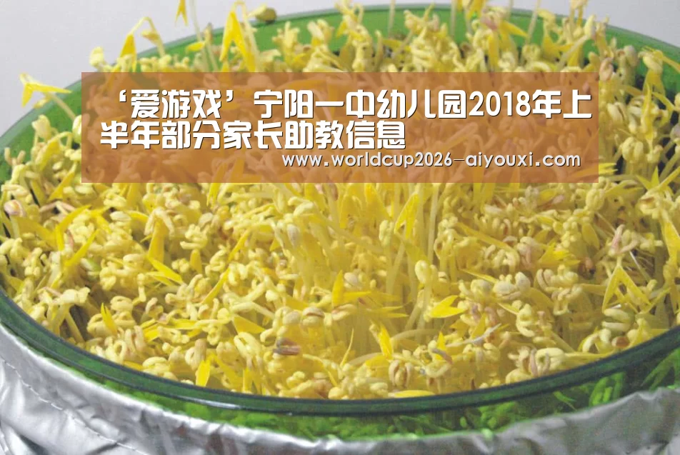 ayx下载