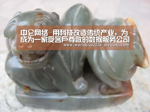 中仑网络-用科技改造传统产业,为成为一家受客户尊敬的数据服务公司而奋斗!-爱游戏官方入口(图3) 爱游戏官方入口