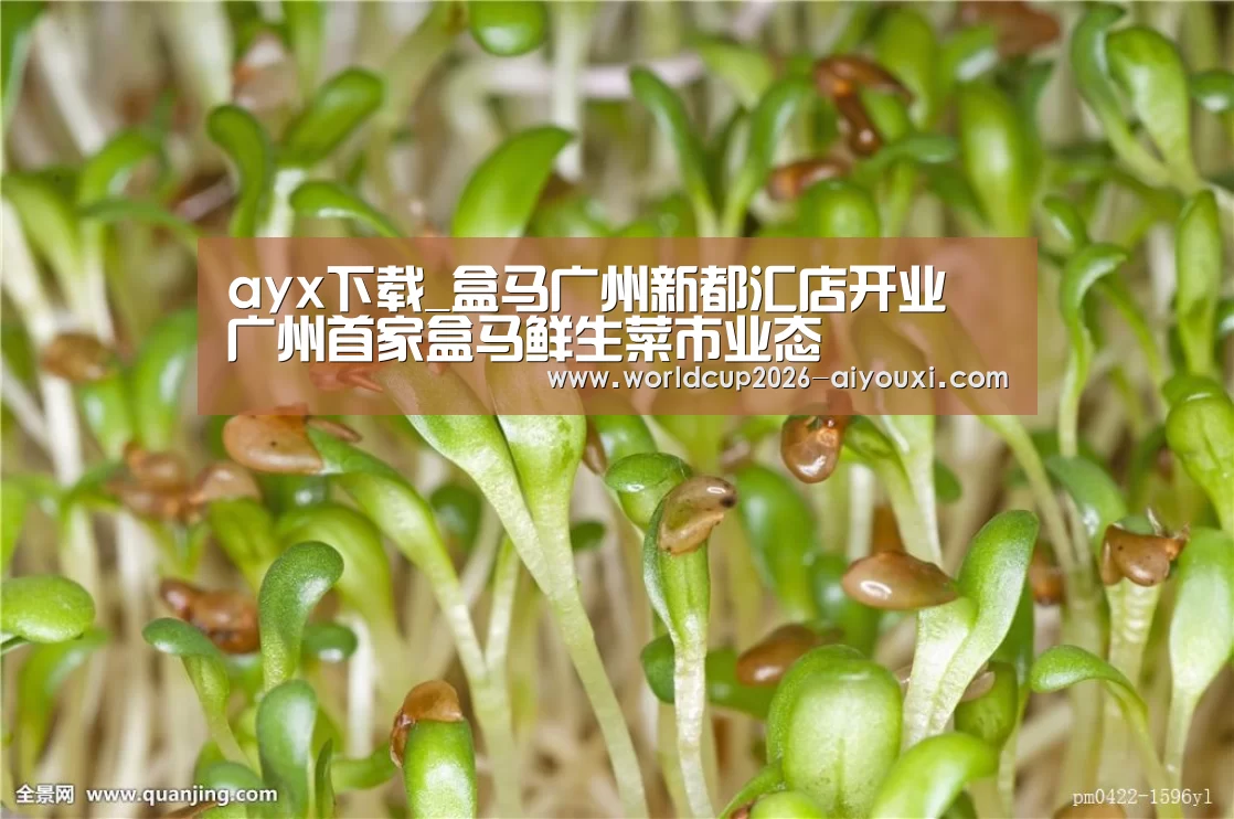 ayx下载_盒马广州新都汇店开业 广州首家盒马鲜生菜市业态(图1) ayx下载