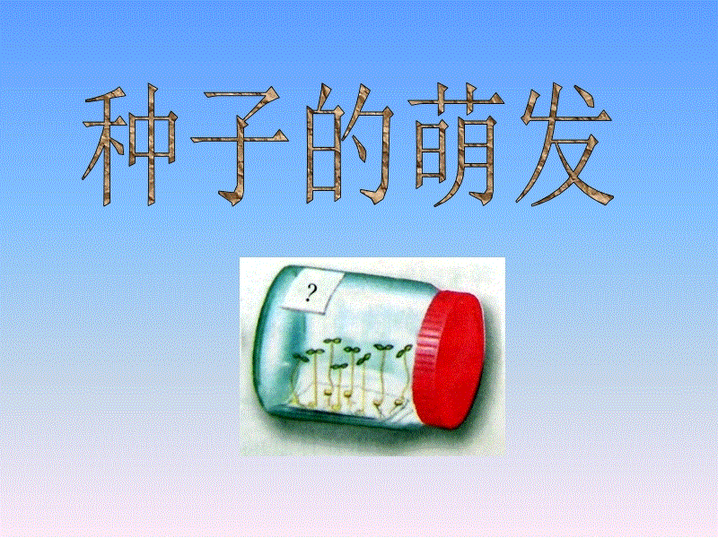 爱游戏官方:教研动态|游戏化音乐教学(图1) ayx下载