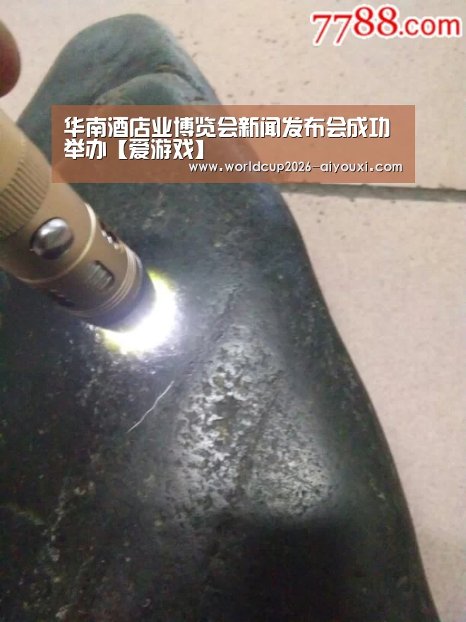 华南酒店业博览会新闻发布会成功举办【爱游戏】(图1) ayx下载