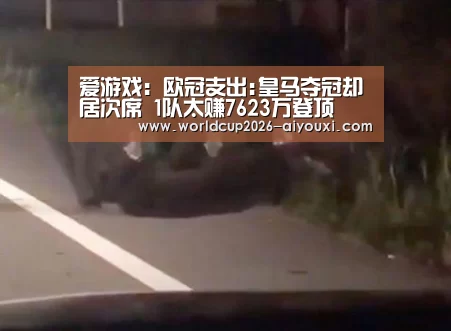 爱游戏:欧冠支出:皇马夺冠却居次席 1队太赚7623万登顶(图2) 爱游戏官方
