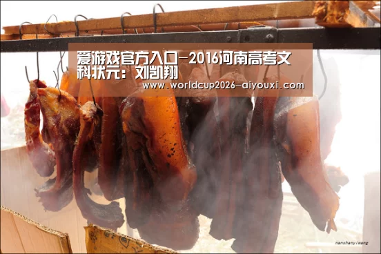 爱游戏官方入口-2016河南高考文科状元:刘凯翔(图3) 爱游戏官方