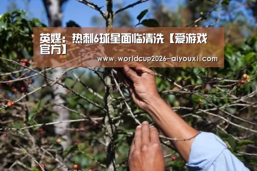 爱游戏官方